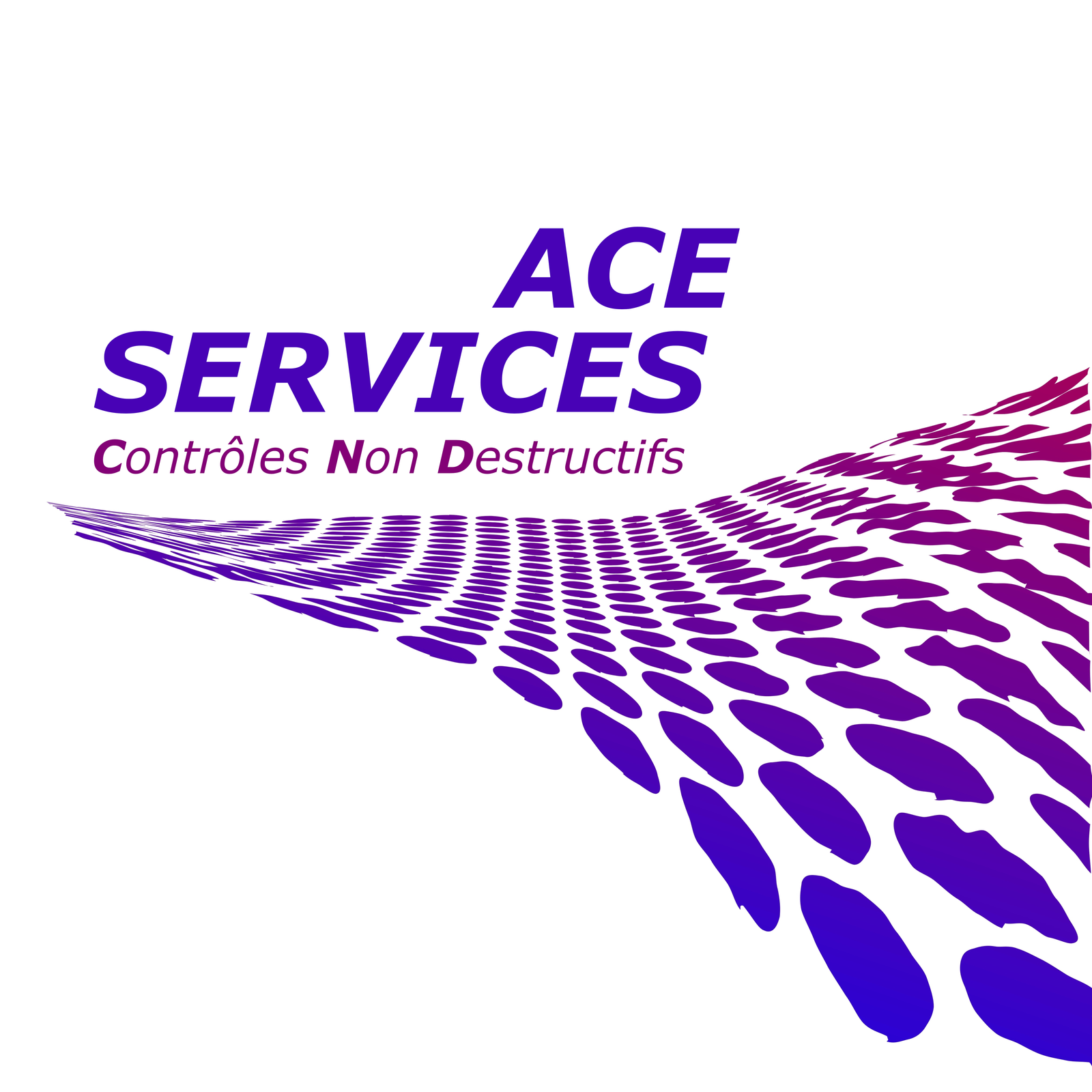 ACE SERVICES